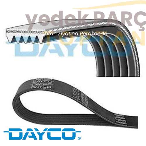 DAYCO V KAYISI 1421435