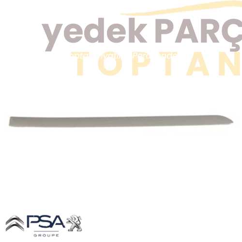 OE-PSA KAPI ÇITASI