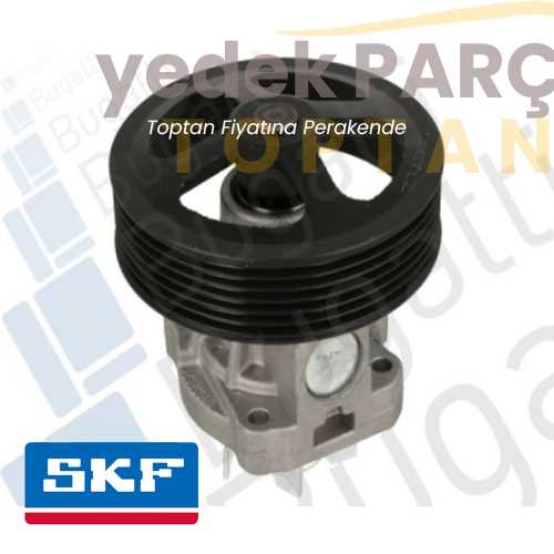 SKF DEVIRDAIM SU POMPASI GRAF PA1083