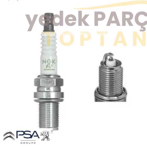 OE-PSA SOL ARKA KAPI