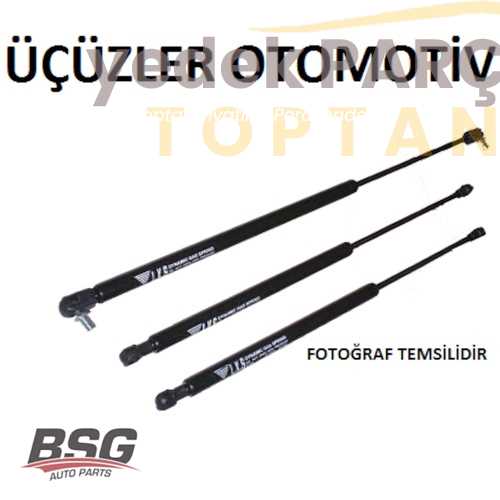 BSG BAGAJ AMORTISÖRÜ SW