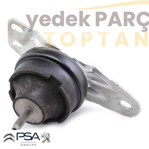 OE-PSA MOTOR KULAGI